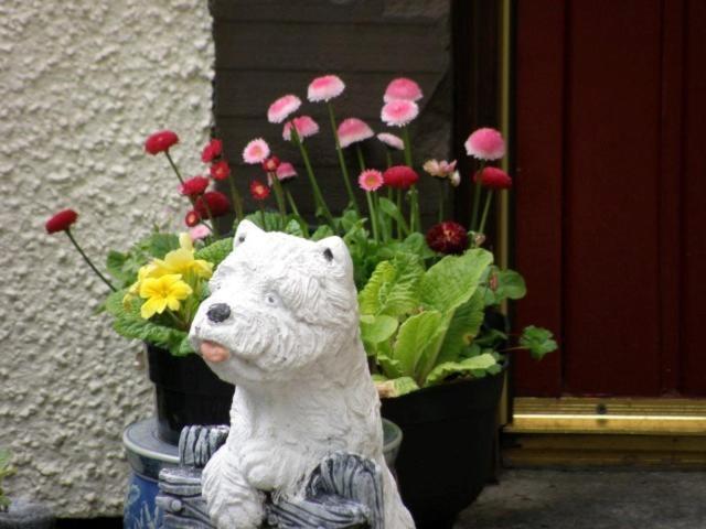 Kettle House B&B Fort Augustus Extérieur photo