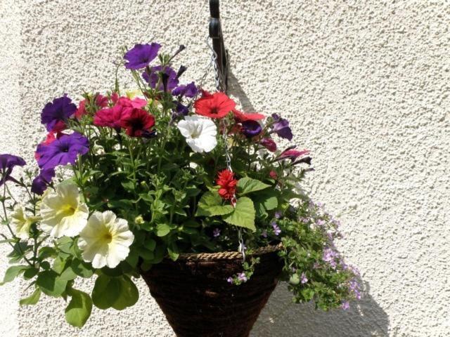 Kettle House B&B Fort Augustus Extérieur photo