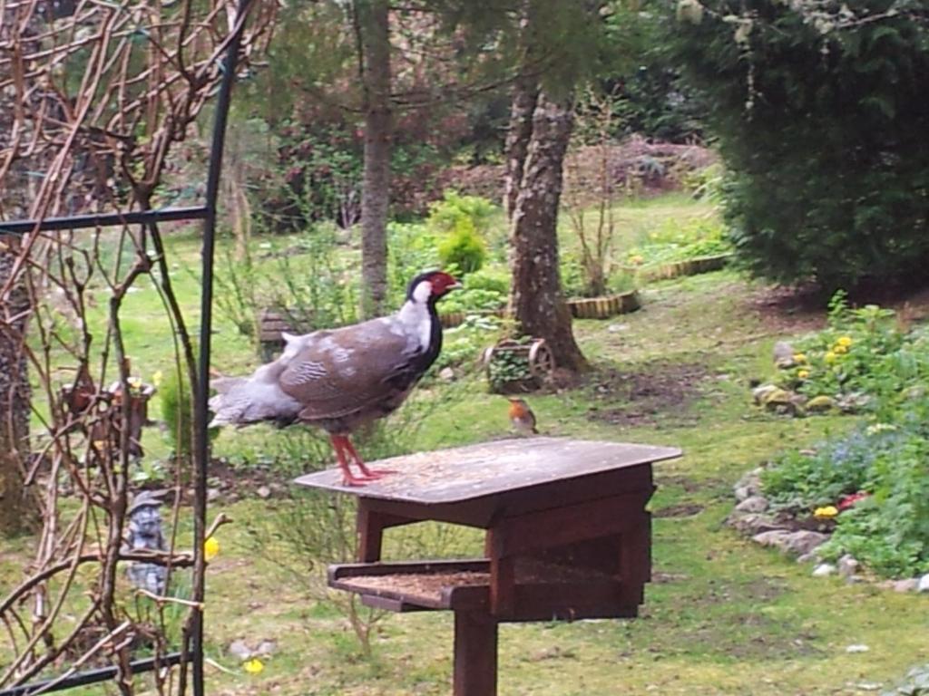 Kettle House B&B Fort Augustus Extérieur photo